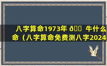 八字算命1973年 🐠 牛什么命（八字算命免费测八字2024年运 🐘 势）